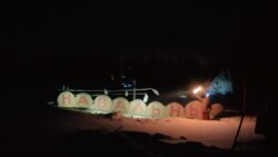 Поляна им. Навального Поляна им. Навального