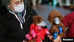 Psi nose zaštitne maske u centru Šangaja, Kina