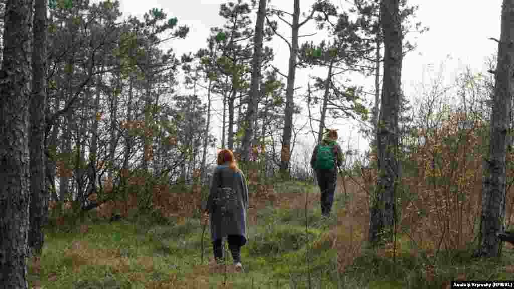 Для этой молодой пары, как оказалось, сбор грибов – лишь повод прогуляться в лесу