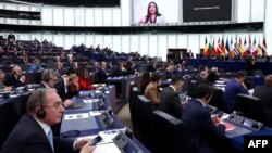 თებერვალში ევროპარლამენტი კენჭს უყრის მორიგ რეზოლუციას საქართველოს შესახებ.