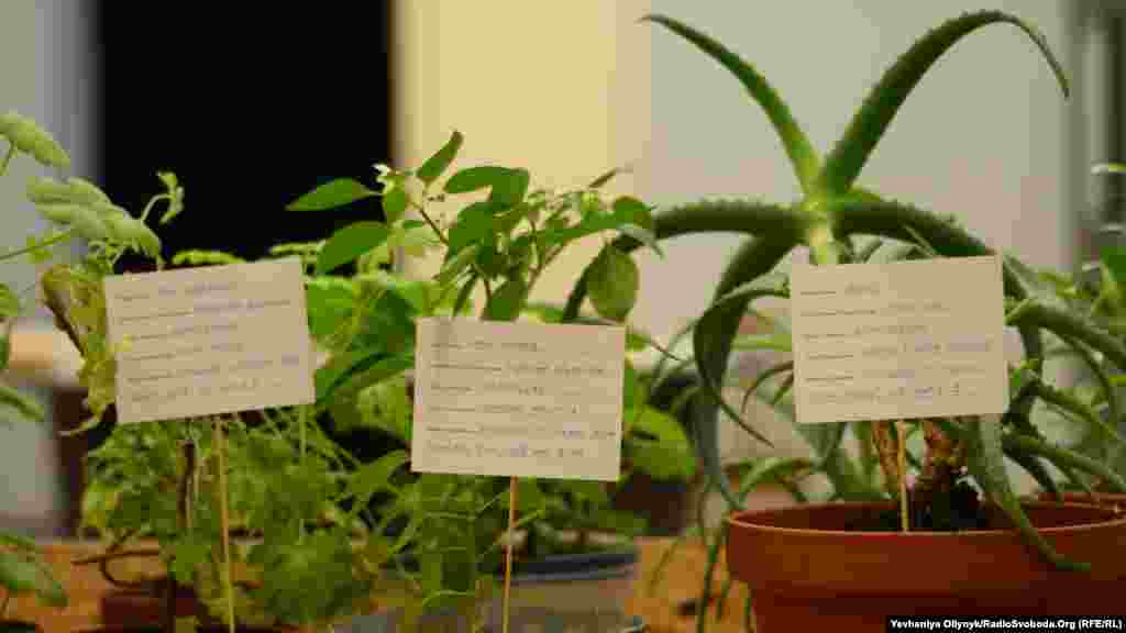 Калле Хамм, Дзаміль Камангер, «Сад незадокументованих». Художники представили 14 рослин, які таємно перевезли з-за кордону в Фінляндію. Згідно з законодавством ЄС, на його територію дозволено шамозити не більше 20 одиниць зрізаних квітів, а решта мають мати відповідну документацію до ввезення. Автори, один із яких походить з Ірану, використовують рослини, як метафору біженців.