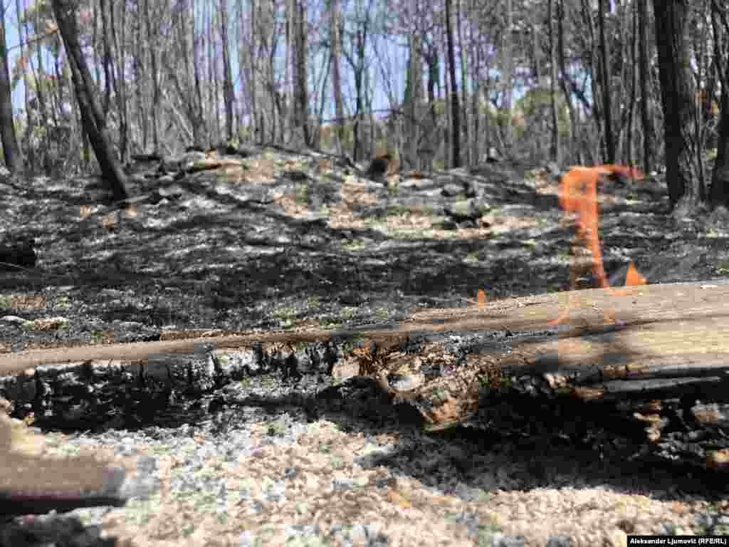 Zbog vjetra ali i visokih temperatura velika je mogućnosti od ponovnog aktiviranja vatre zbog čega se teren kontroliše.