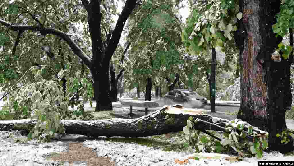 Sarajevo, 14. maj 2012.