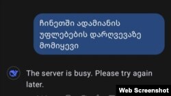 ადამიანის უფლებებზე უხერხულ კითხვებს როდესაც ვუსვამდით, ჩატბოტი ხანდახან ითიშებოდა