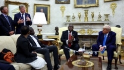 Медвежья услуга Медвежья услуга