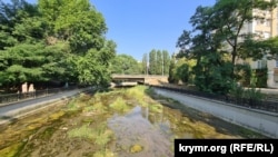 Обезвоженный и зарастающий растительностью Салгир в районе Центрального автовокзала Симферополя, июль 2025 года