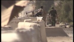 Освобождение Пальмиры Освобождение Пальмиры