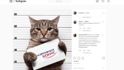 Mačak Viktor heroj skoro savršene avionske prevare Mačak Viktor heroj skoro savršene avionske prevare