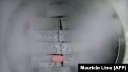 Контейнеры со стволовыми клетками в клеточном банке