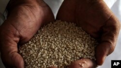 Trgovac drži gnojivo koje sadrži amonijev nitrat, ilustrativna fotografija