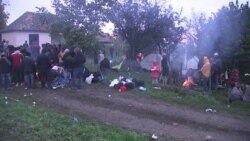 Izbjeglice u Berkasovu: Šatori i blato Izbjeglice u Berkasovu: Šatori i blato