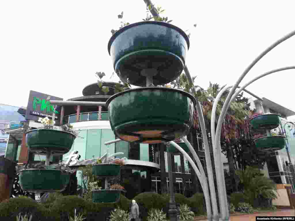 "Вертикальное озеленение". Почему-то в тазиках нет дренажных отверстий.