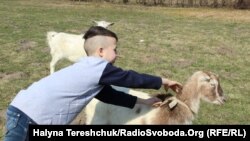 Натовцы подарили животных для мини-фермы Краковецкого учебно-реабилитационного центра