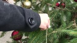 Neke jelke imaju šansu da prežive Neke jelke imaju šansu da prežive