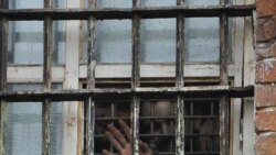 Правосудие. Кому нужны аресты? Правосудие. Кому нужны аресты?