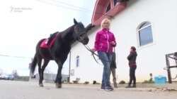 Terapijsko jahanje na Čokorskim poljima Terapijsko jahanje na Čokorskim poljima