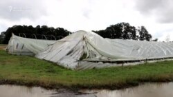 Nevrijeme uništilo usjeve u Posavini