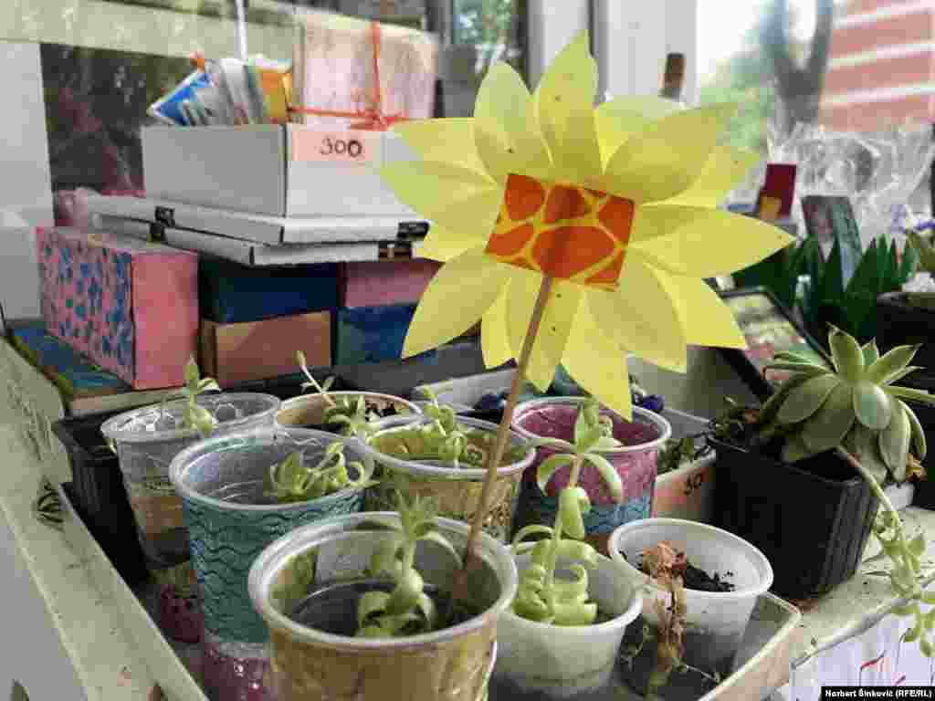 „Izuzetno volimo botaničke radionice i vrlo rado sadimo i negujemo naše biljke, koje takođe prodajemo. Ovde možete da vidite i oslikane flaše, oslikane šolje, koje su korisnici ručno i sa ljubavlju pravili, ramove za slike, obeleživače za knjige, razne slike i radove. Tu su i podmetači za čaše, koje mi pravimo i izuzetno smo ponosni na njih“, kaže za Radio Slobodna Evropa (RSE) Katarina Vukelić.