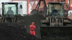 Північна Корея експортує вугілля через Росію в обхід санкцій – розвідка (відео) Північна Корея експортує вугілля через Росію в обхід санкцій – розвідка (відео)