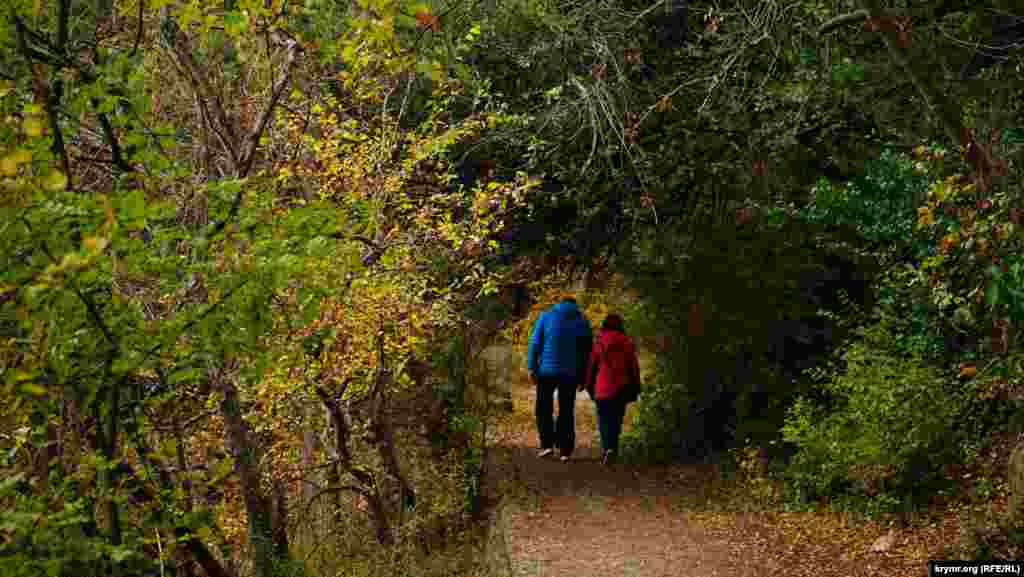 Длина Царской тропы – 6711 метров. На всем протяжении она почти горизонтальная, хоть и огибает лесные горные склоны