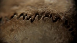 ზემო ავჭალის ქალი - მსოფლიოს უძველესი ამორძალი ზემო ავჭალის ქალი - მსოფლიოს უძველესი ამორძალი