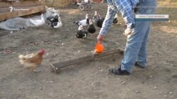 «Вокруг никого не осталось, всех забрали». Рассказ матери арестованных крымчан (видео) «Вокруг никого не осталось, всех забрали». Рассказ матери арестованных крымчан (видео)