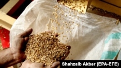 A Pakistani worker in Karachi sorts wheat grain on April 7 to make flour to keep people fed during the country's lockdown amid the ongoing COVID-19 pandemic.
