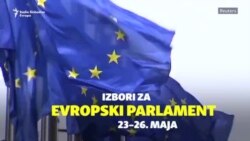 Evropski izbori, ekstremna desnica i veze s Rusijom Evropski izbori, ekstremna desnica i veze s Rusijom