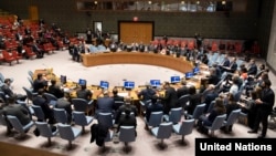 Sednica Saveta bezbednosti UN, Njujork, februar 2019.
